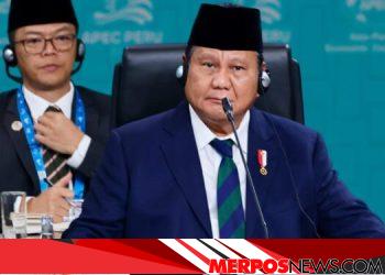 Tegas! Indonesia Dukung Perdagangan Global Terbuka dan Adil di KTT APEC 2024